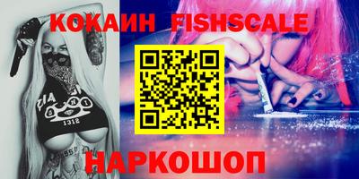 гашик Кингисепп
