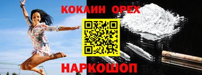 гашик Кингисепп