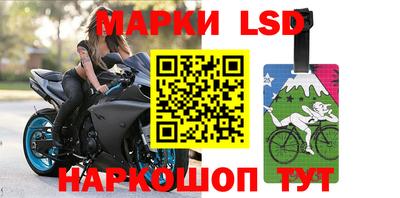 гашик Кингисепп