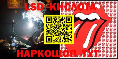 гашик Кингисепп