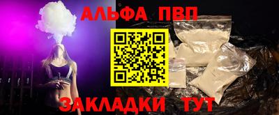 гашик Кингисепп