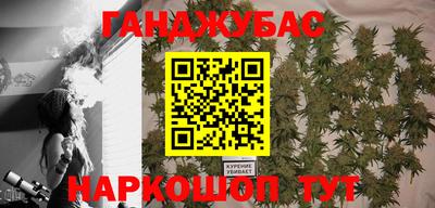 гашик Кингисепп