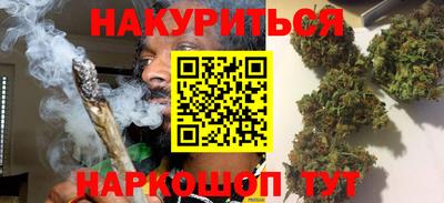 гашик Кингисепп