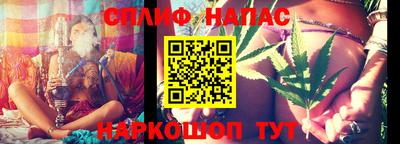 гашик Кингисепп