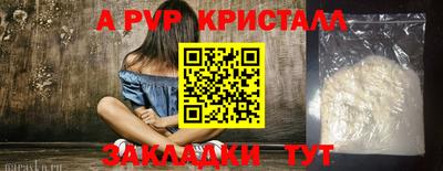 гашик Кингисепп