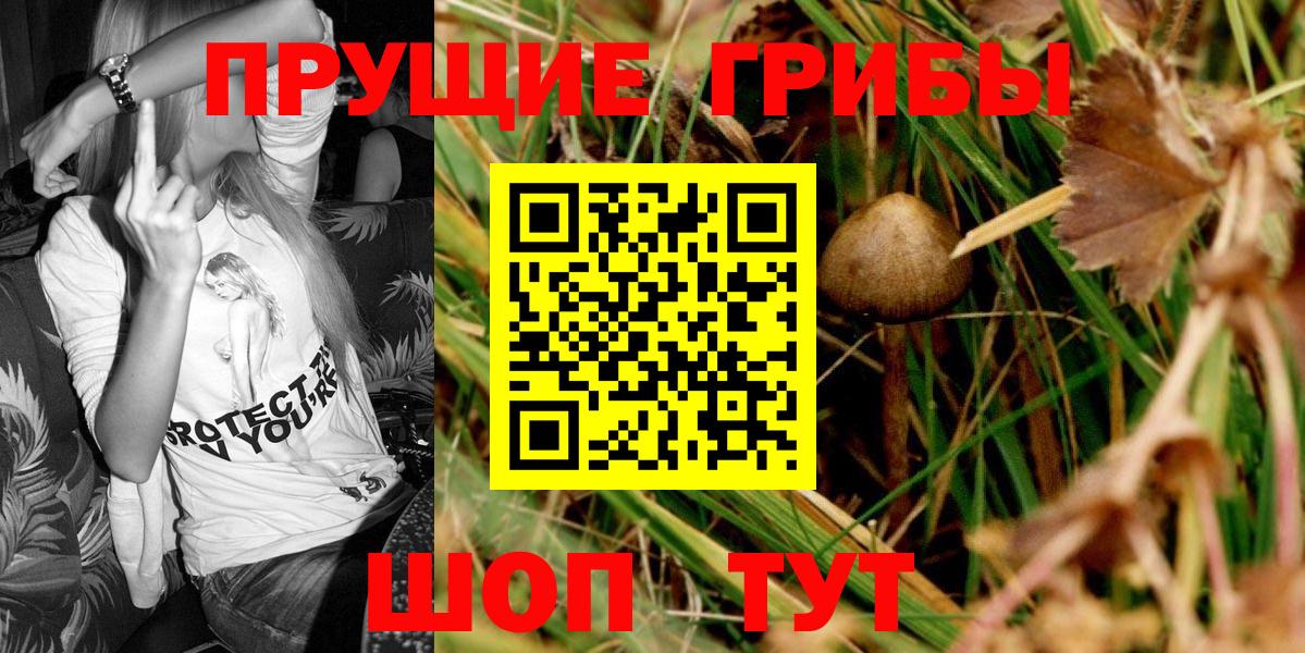 Галлюциногенные грибы GOLDEN TEACHER Острогожск